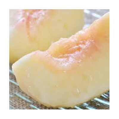 岡山県産　白桃　ロイヤル6個入り