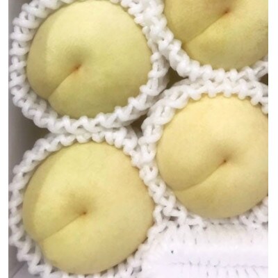 岡山県産冬桃がたり 3個入り