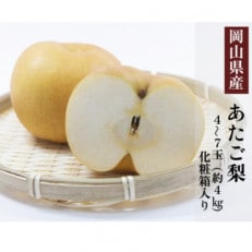 岡山県産 あたご梨 4～7玉(約4kg) 化粧箱入り