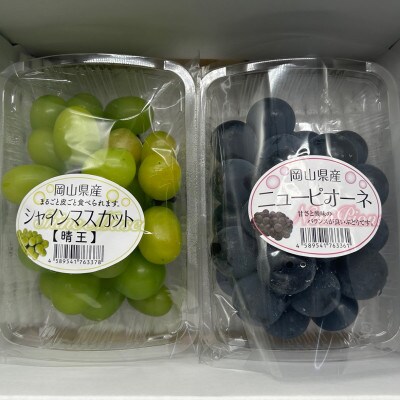 岡山県産 旬のぶどう詰合せ 2種2パックセット