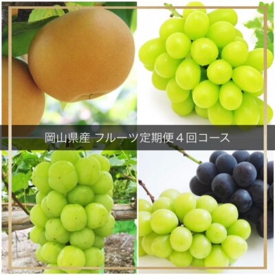 【発送月固定定期便】岡山県産 フルーツ定期便全4回