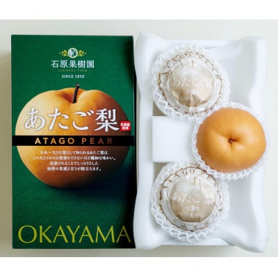 【2025年発送】あたご梨 3～4玉 化粧箱 約400～500g玉(A3-05)