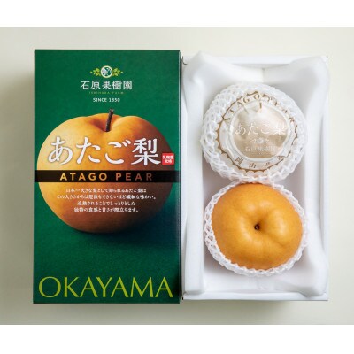 【2025年発送】あたご梨 2玉 化粧箱 約750g玉(A2-75)