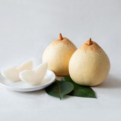 【2025年発送】ヤーリー4.5kg 贈答箱 6～12玉(YR-45)