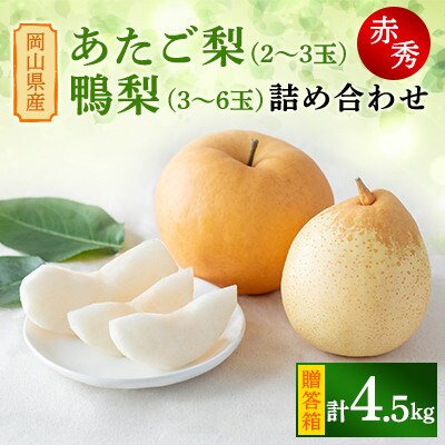 【2025年発送】詰め合わせ 4.5kg 贈答箱 あたご2～3玉・鴨梨3～6玉(AY-45)