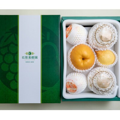 【2025年発送】詰め合わせ 4.5kg 贈答箱 あたご2～3玉・鴨梨3～6玉(AY-45)