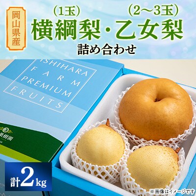 【2025年発送】詰め合わせ2kg箱 横綱梨1玉(1～1.4kg玉)・乙女梨2～3玉(YO2-10)