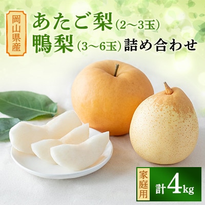 【2025年発送】家庭用 詰め合わせ 4kg箱 あたご梨 2～3玉・ヤーリー 3～6玉(AY-K)