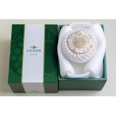 あたご梨 1玉 贈答箱 赤秀 約900g玉(A1-09)