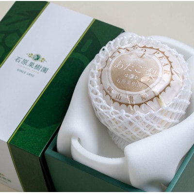 あたご梨 1玉 贈答箱 赤秀 約1.2kg玉(A1-12)