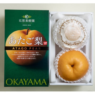 あたご梨2玉 化粧贈答箱 赤秀 約1.3kg玉(A2-13)