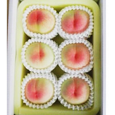 【2026年発送】岡山県産 岡山白桃6玉(1玉300g以上)化粧箱入り