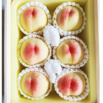 【2026年発送】岡山県産 岡山白桃6玉(1玉250g以上)化粧箱入り