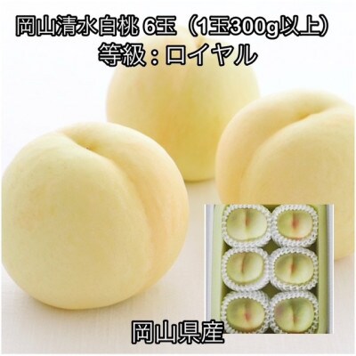 【2026年発送】岡山県産 岡山清水白桃6玉(1玉300g以上)ロイヤル 化粧箱入り