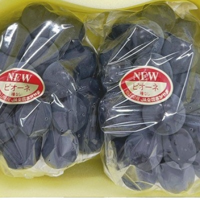 【2026年発送】岡山県産 ニューピオーネ 2房(約1.1kg)　化粧箱入り