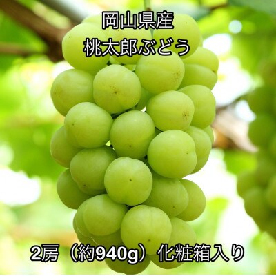 【2026年発送】岡山県産 桃太郎ぶどう 2房(約940g)化粧箱入り