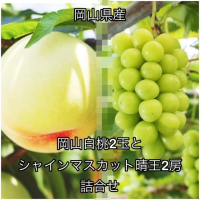 【2026年発送】岡山県産 岡山白桃 2玉とシャインマスカット『晴王』2房 詰合せ　化粧箱入り