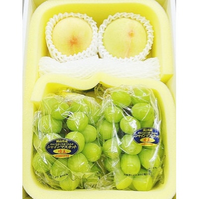 【2026年発送】岡山県産 岡山白桃 2玉とシャインマスカット『晴王』2房 詰合せ　化粧箱入り