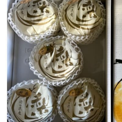 【2026年発送】岡山県産 新高梨 3～6玉 青秀以上(約4kg)化粧箱入り