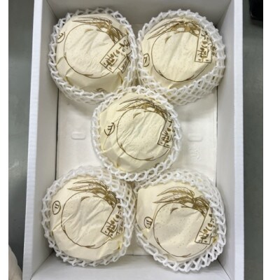 岡山県産 あたご梨3-6玉 青秀以上(約4kg) 化粧箱入り