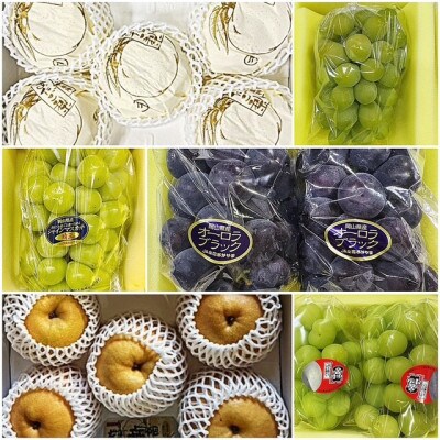 【発送月固定定期便】岡山県産 フルーツ定期便全6回