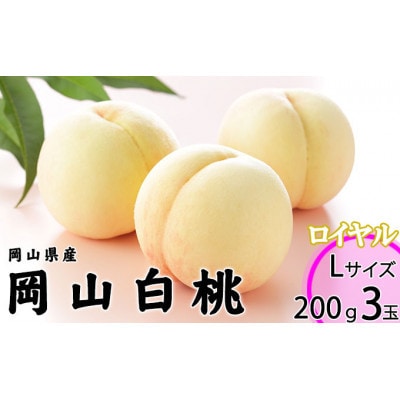 岡山県産 桃 岡山白桃 2027年 ロイヤル 3玉×約200g 計600g Lサイズ