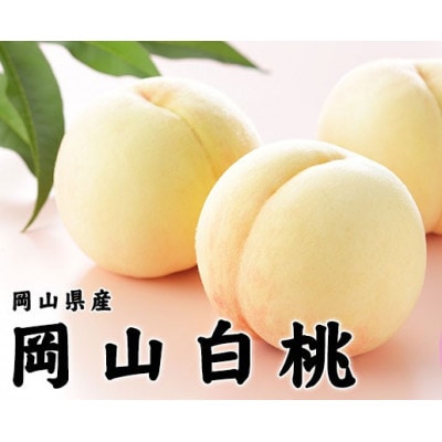 岡山県産 桃 岡山白桃 2027年 ロイヤル 約1.2kg(4～8玉)