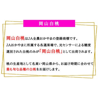 岡山県産 桃 岡山白桃 2027年 ロイヤル 約1.2kg(4～8玉)