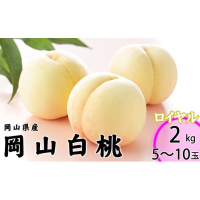岡山県産 桃 岡山白桃 2027年 ロイヤル 約2kg(5～10玉)