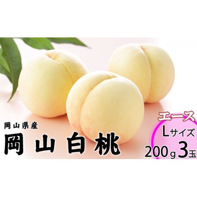 岡山県産 桃 岡山白桃 2027年 エース 3玉×約200g 計600g Lサイズ