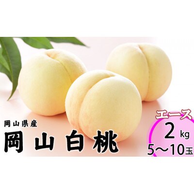 岡山県産 桃 岡山白桃 2027年 エース 約2kg(5～10玉)