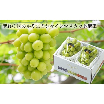 岡山県産 2026年発送 ご家庭用 シャインマスカット 晴王 約400g×2房 計800g