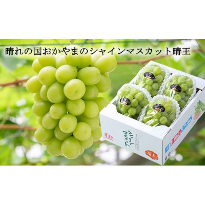 岡山県産 2026年発送 ご家庭用 シャインマスカット 晴王約1.5kg (3～6房)