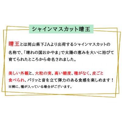 岡山県産 2026年発送 シャインマスカット 晴王 約500g×2房 計1kg 種無し