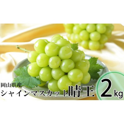 岡山県産 2026年発送 シャインマスカット 晴王 約2kg 3～6房 種無し