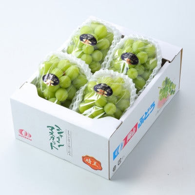岡山県産 2026年発送 シャインマスカット 晴王 約2kg 3～6房 種無し