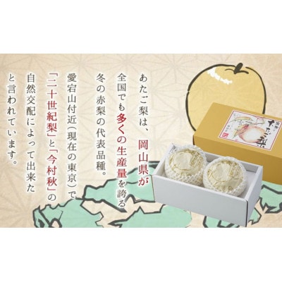 岡山県産 あたご梨 2玉 合計約1.8kg