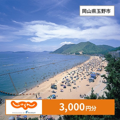 【じゃらんふるさと納税クーポン】 岡山県玉野市でつかえる3,000円 クーポン