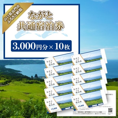 ながと共通宿泊券3,000円分×10枚