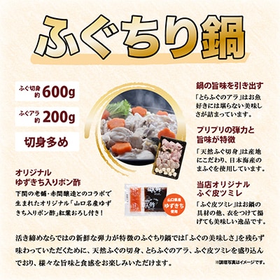 天然ふぐ唐揚げ付き天然ふぐ鍋とらふぐ刺身セット4-5人前