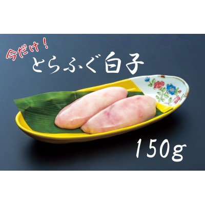 【2026年1月中旬より順次発送】白子付き とらふぐコース(3～4人前)とらふぐコンフィセット