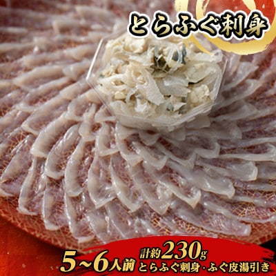 【2026年1月中旬より順次発送】とらふぐ刺身5-6人前