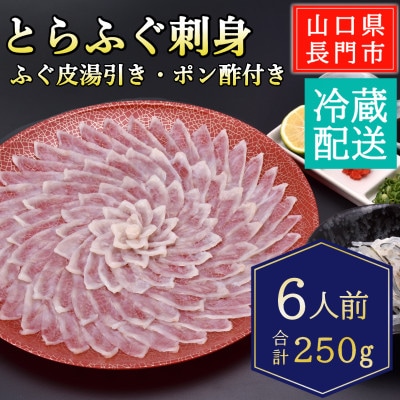 とらふぐ刺身6人前/冷蔵