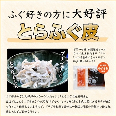 とらふぐ刺身6人前/冷蔵