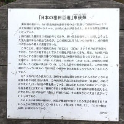 ごりやく米　浜ちゃんのお米「東後畑棚田きぬむすめ」玄米10kg棚田米(1358)