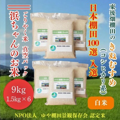 ごりやく米 浜ちゃんのお米「東後畑棚田きぬむすめ」白米9.0kg真空パック1.5×6個(1360)