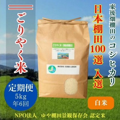 【毎月定期便】こしひかり「ごりやく米」白米5kg(1604)全6回