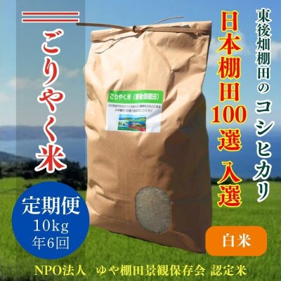 【毎月定期便】こしひかり「ごりやく米」白米10kg(120001)全6回