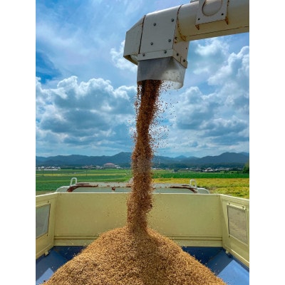 ひとめぼれ 日置ノ庄 5kg 玄米