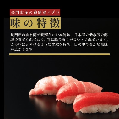 油谷産養殖本マグロ　中トロ柵　800g(1347)